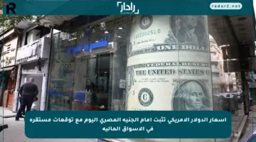 أسعار الدولار الأمريكي تثبت أمام الجنيه المصري اليوم مع توقعات مستقرة في الأسواق المالية